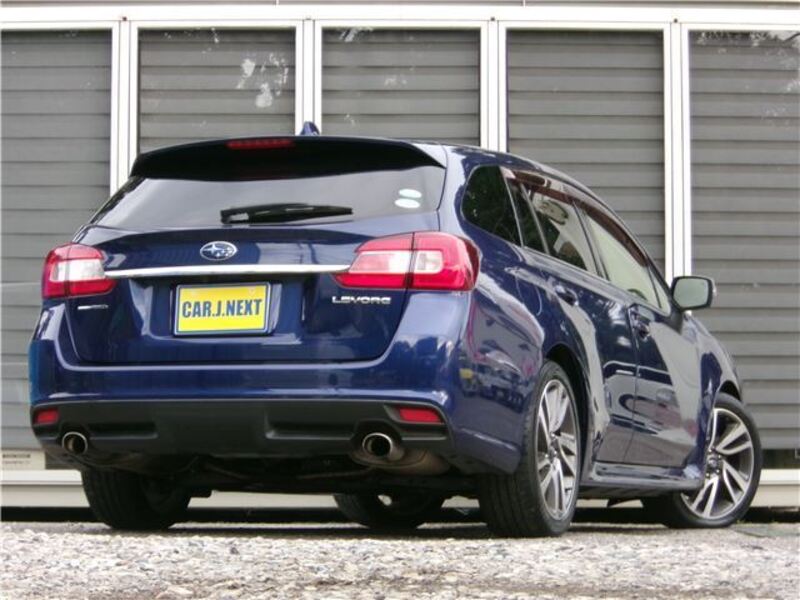 LEVORG