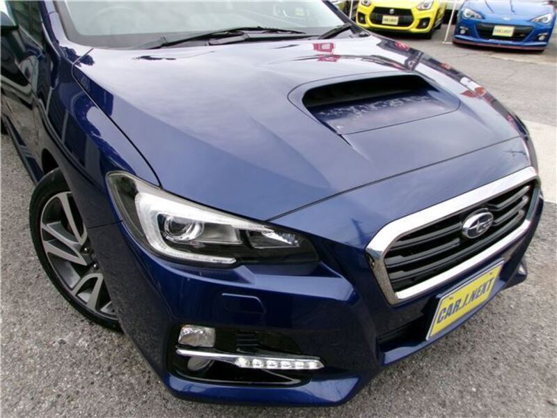 LEVORG
