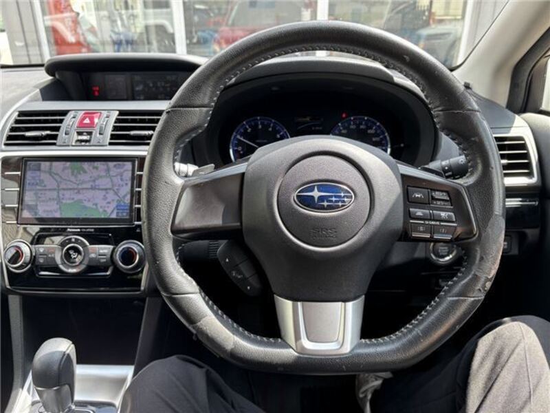 LEVORG