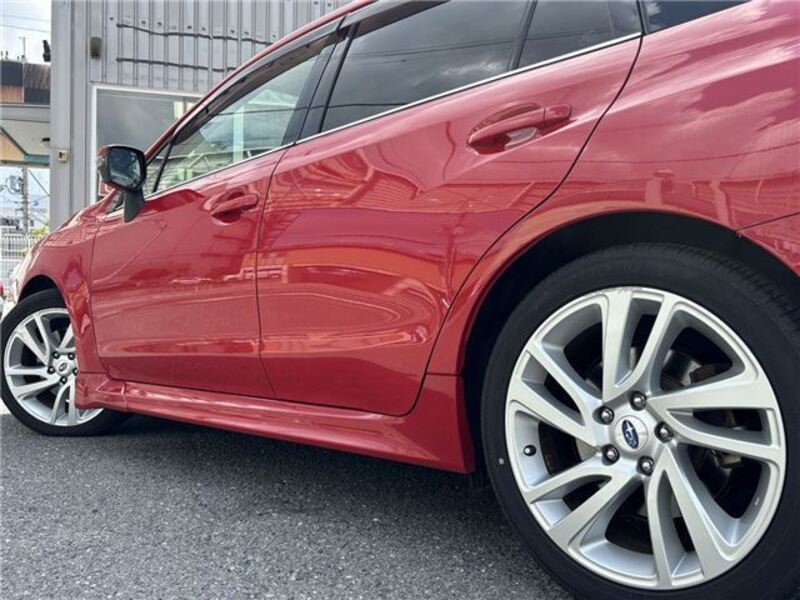 LEVORG