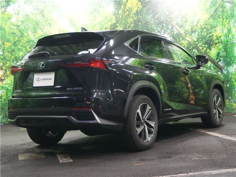 NX