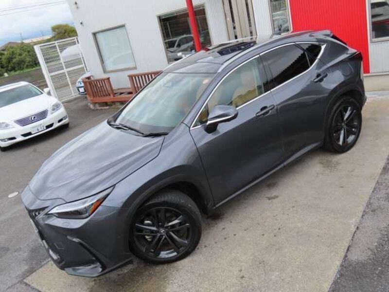 NX