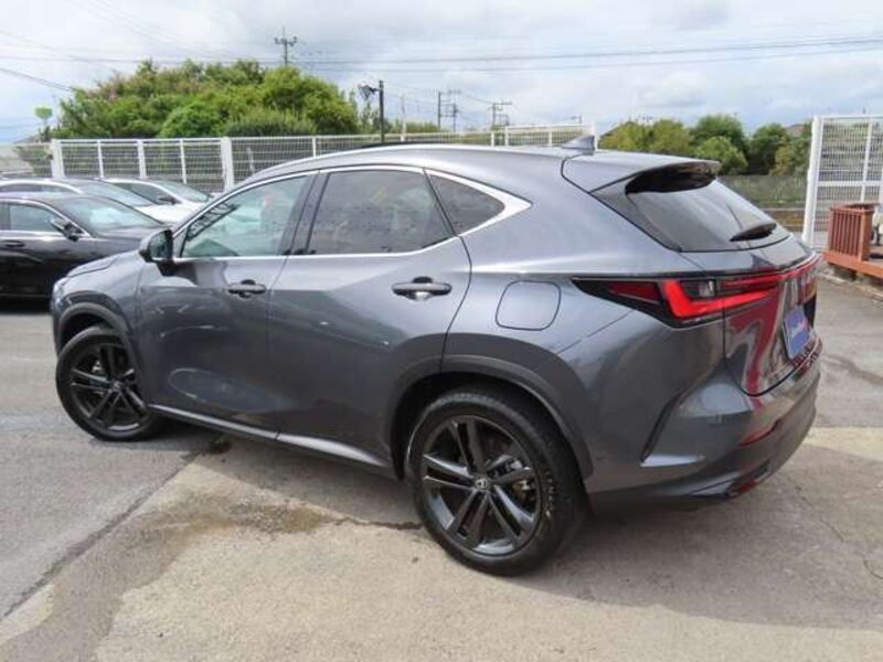 NX