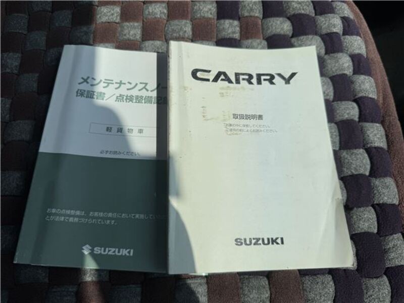 CARRY TRUCK