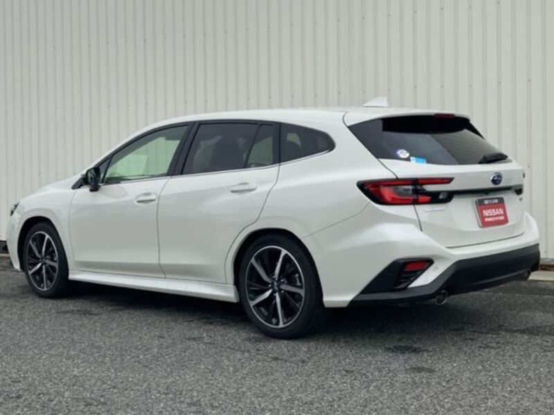 LEVORG