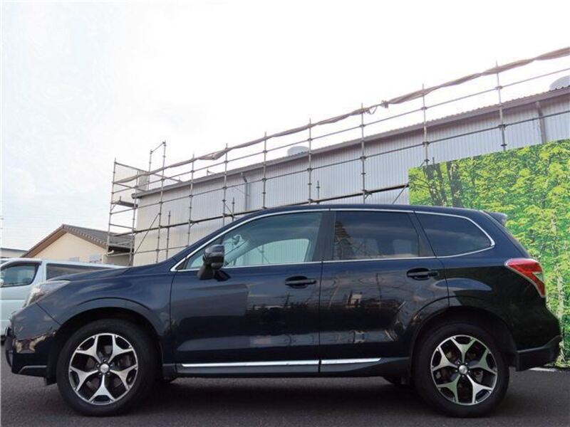 FORESTER