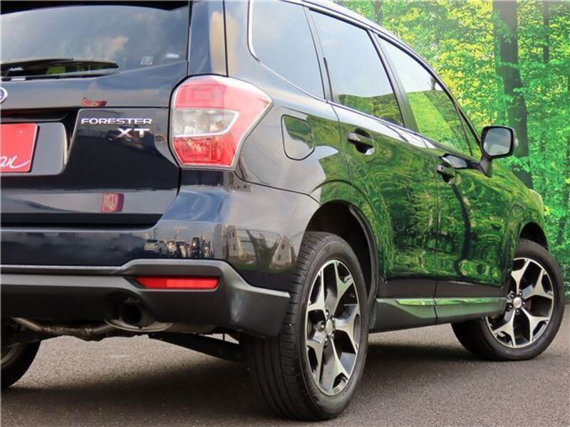 FORESTER