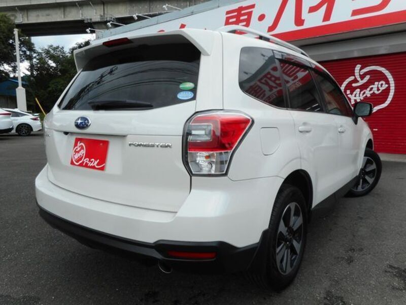 FORESTER