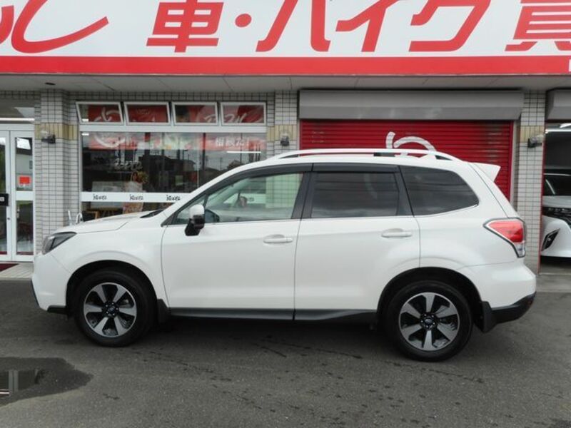 FORESTER