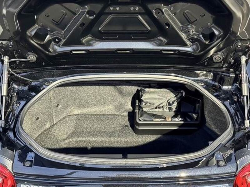 ROADSTER RF