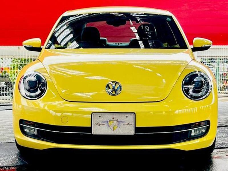 THE BEETLE