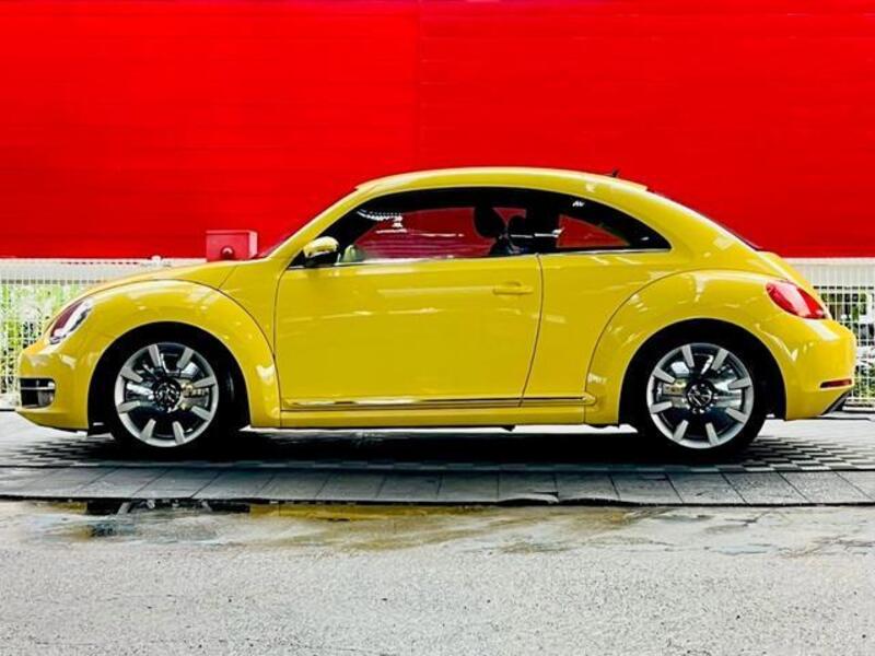 THE BEETLE