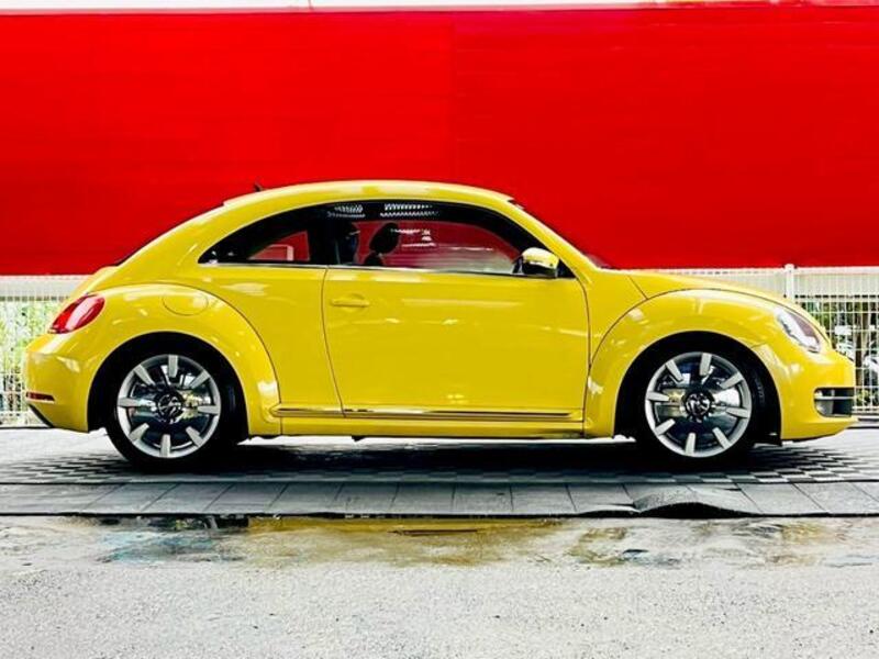 THE BEETLE