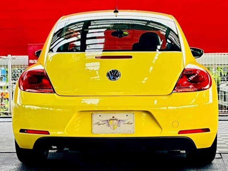 THE BEETLE