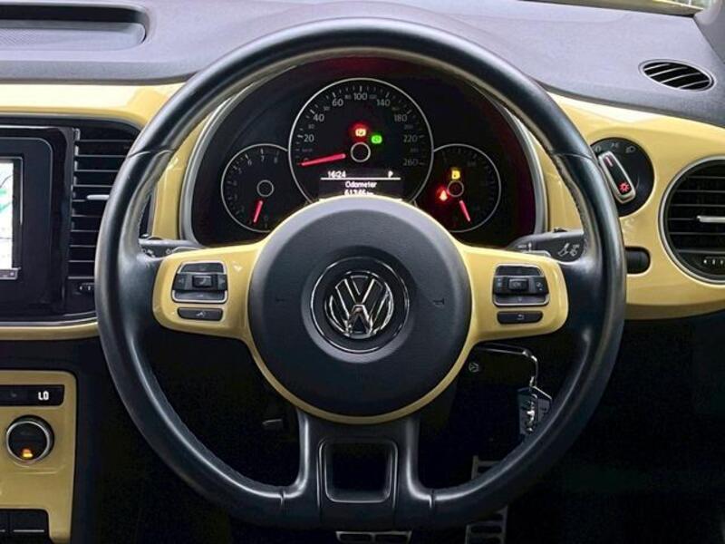 THE BEETLE