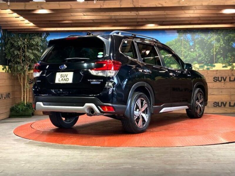 FORESTER