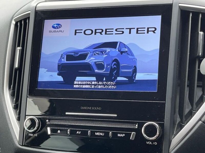 FORESTER