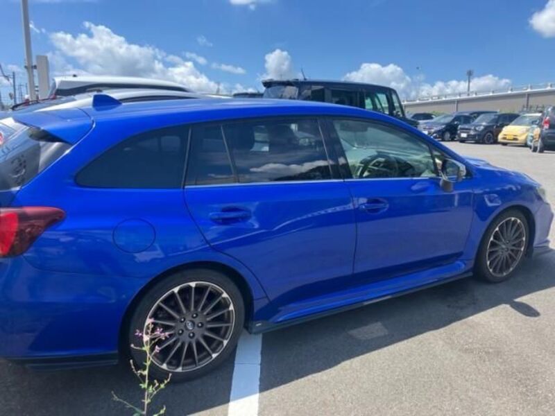 LEVORG