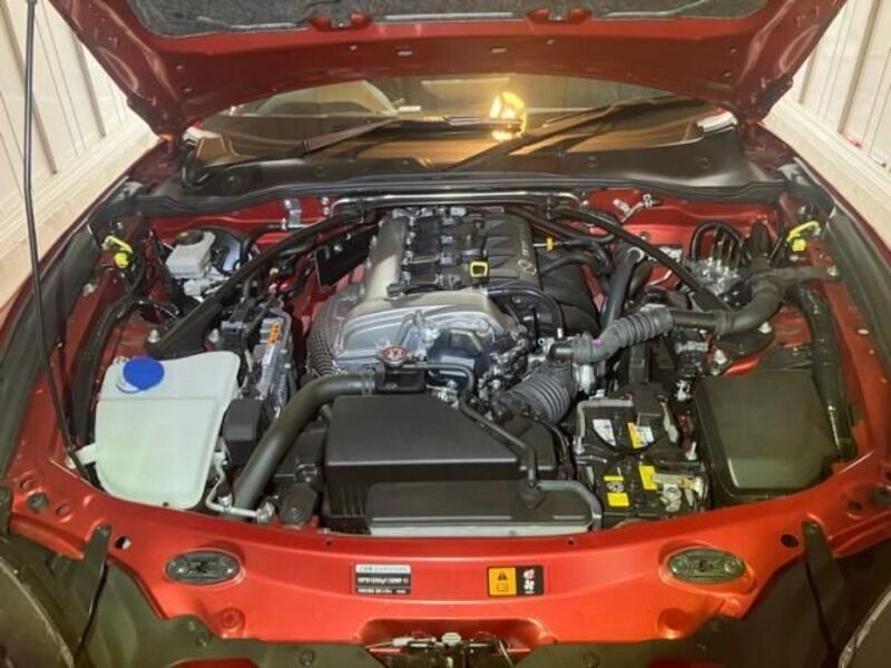 ROADSTER RF