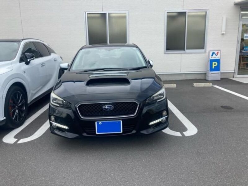 LEVORG-0
