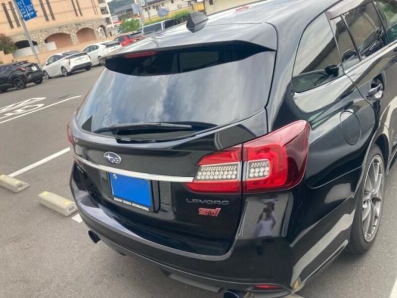 LEVORG