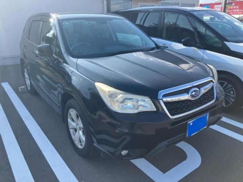 FORESTER