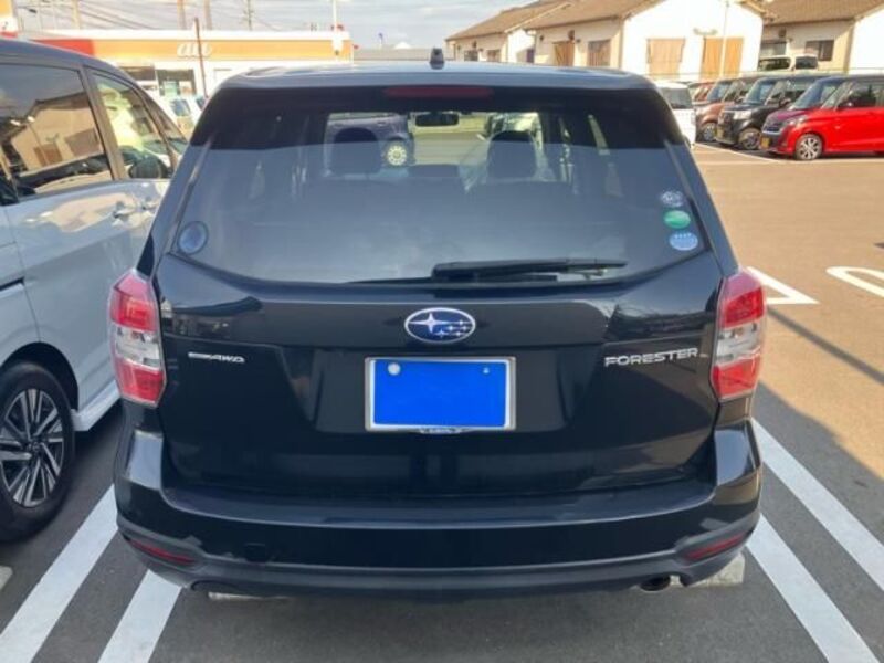 FORESTER