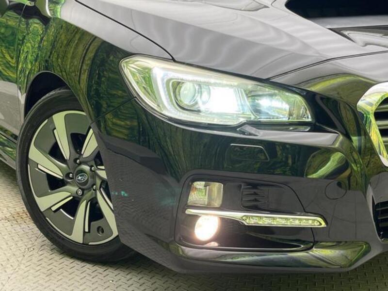 LEVORG