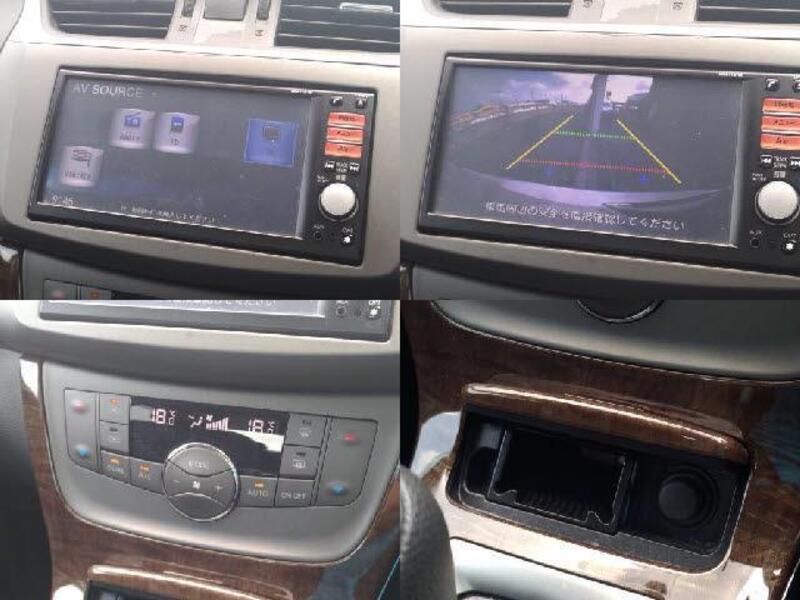 BLUEBIRD SYLPHY