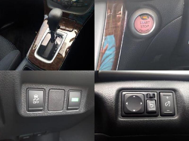 BLUEBIRD SYLPHY
