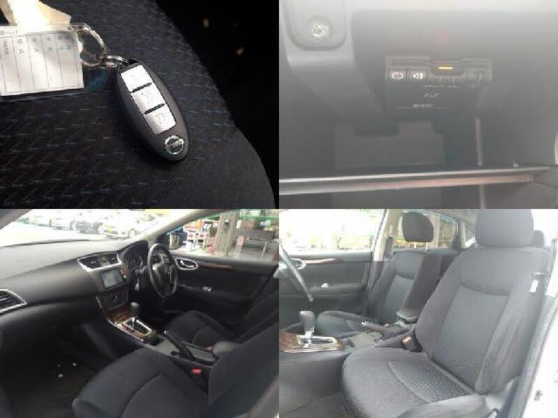 BLUEBIRD SYLPHY