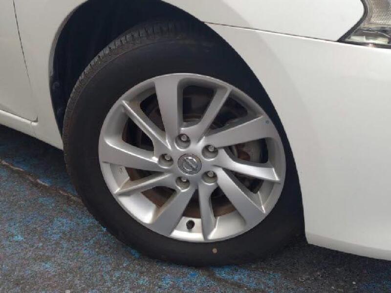 BLUEBIRD SYLPHY