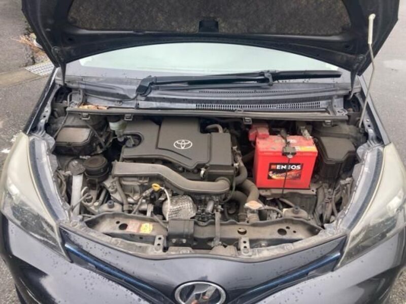 VITZ