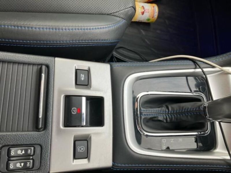 LEVORG