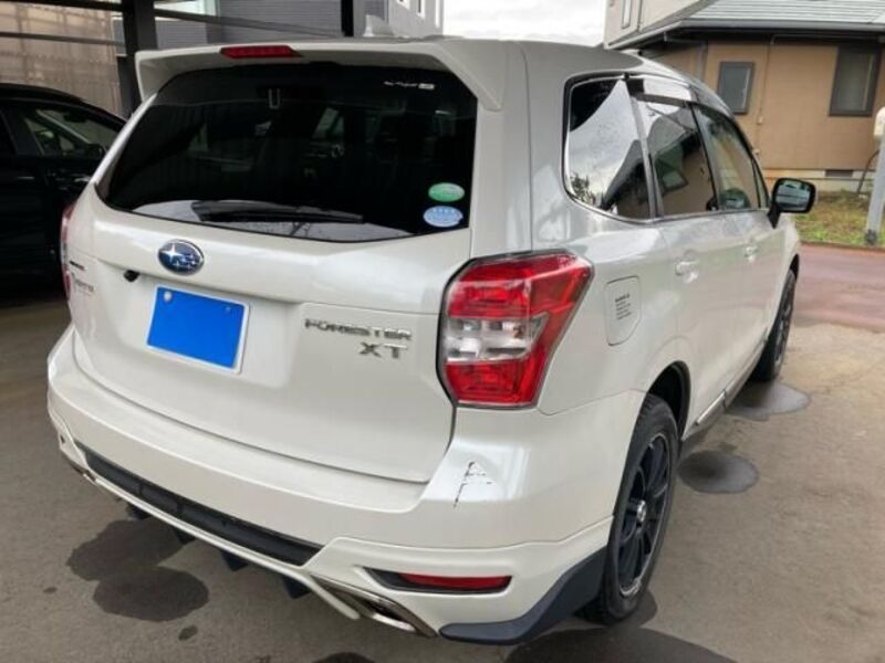 FORESTER