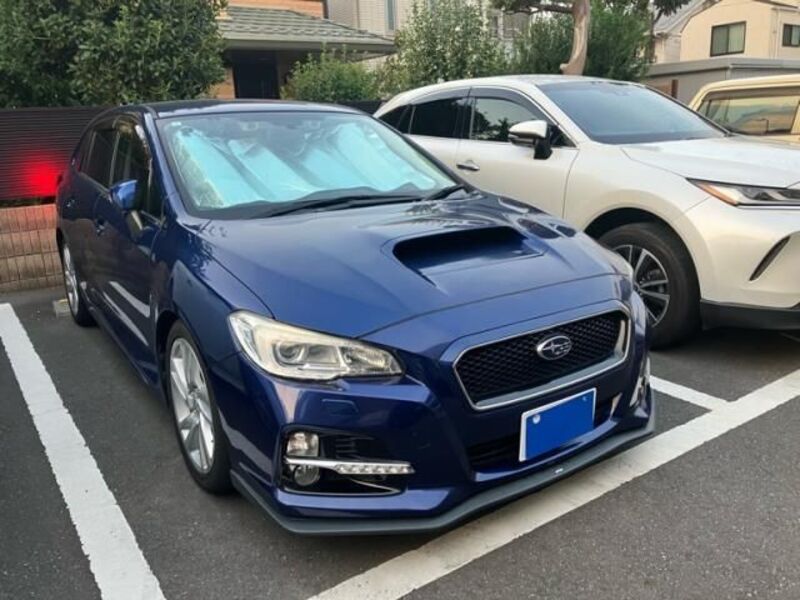 LEVORG-0