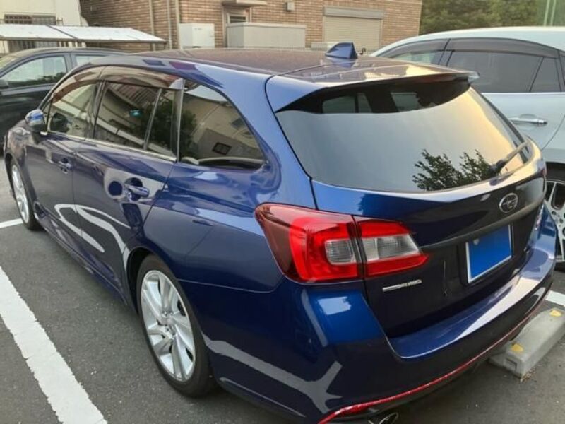 LEVORG