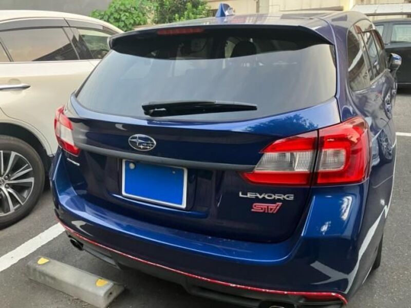 LEVORG