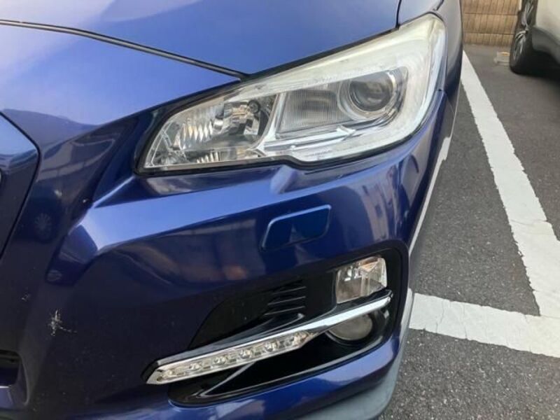 LEVORG