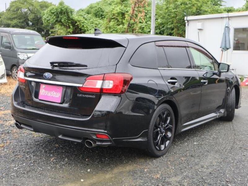 LEVORG
