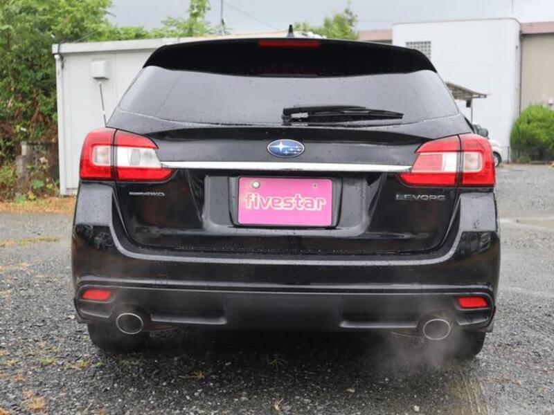 LEVORG
