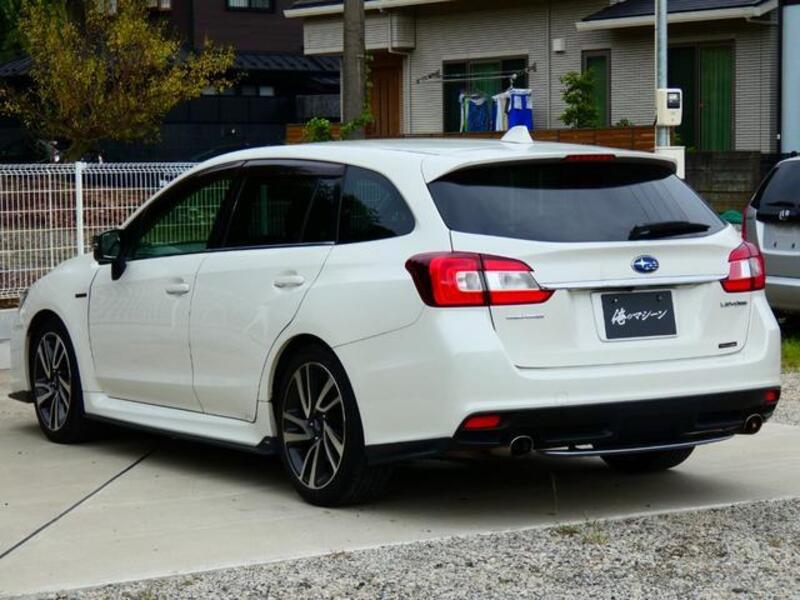 LEVORG
