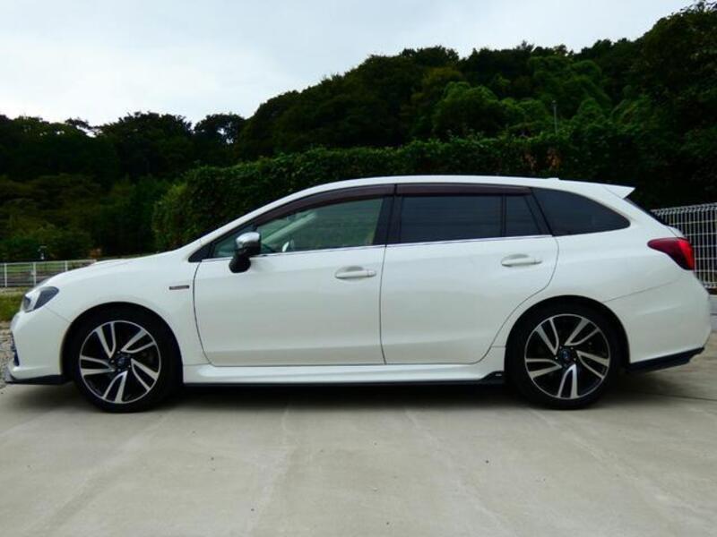 LEVORG
