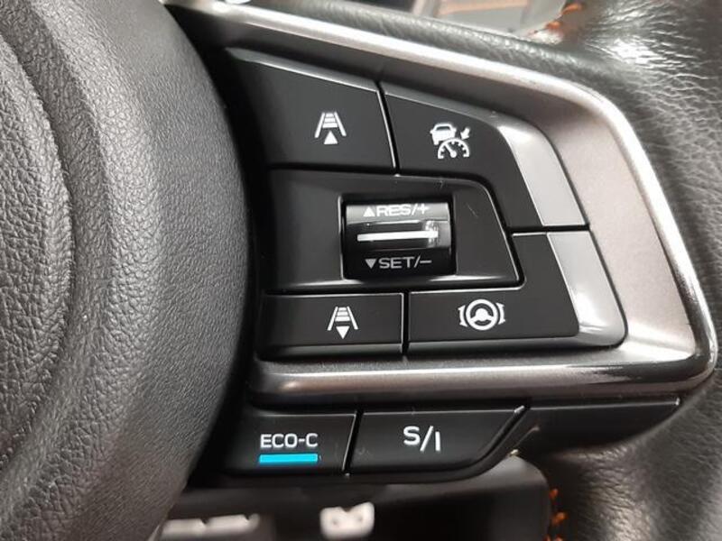 XV