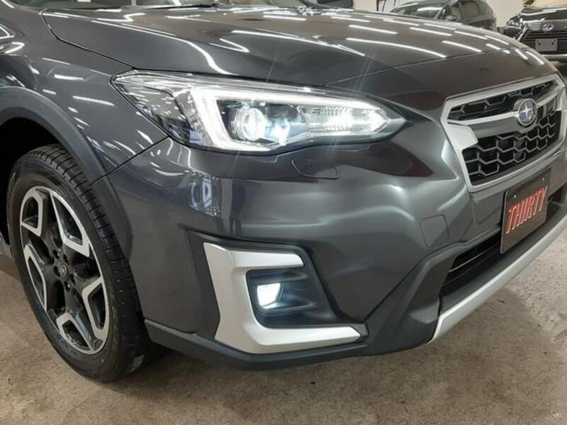 XV