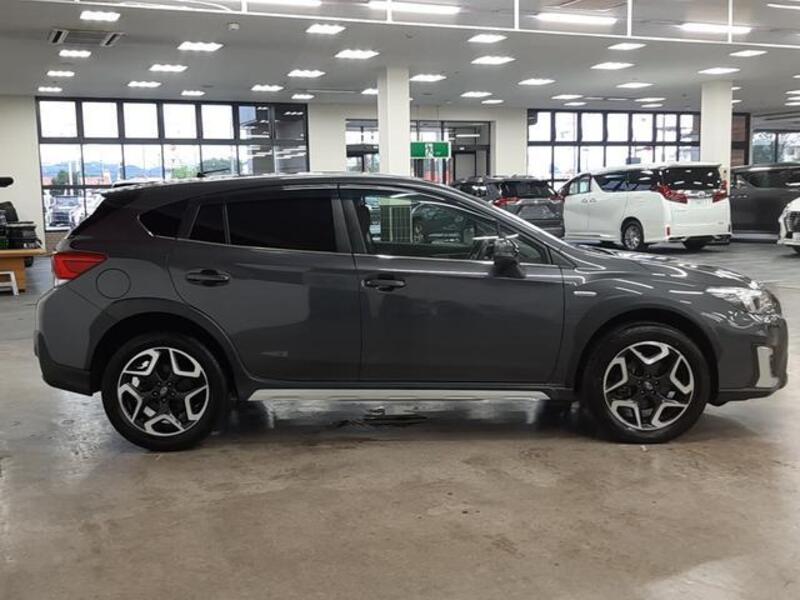 XV