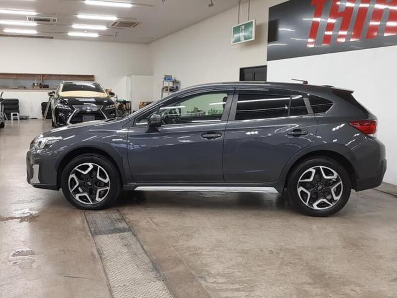 XV