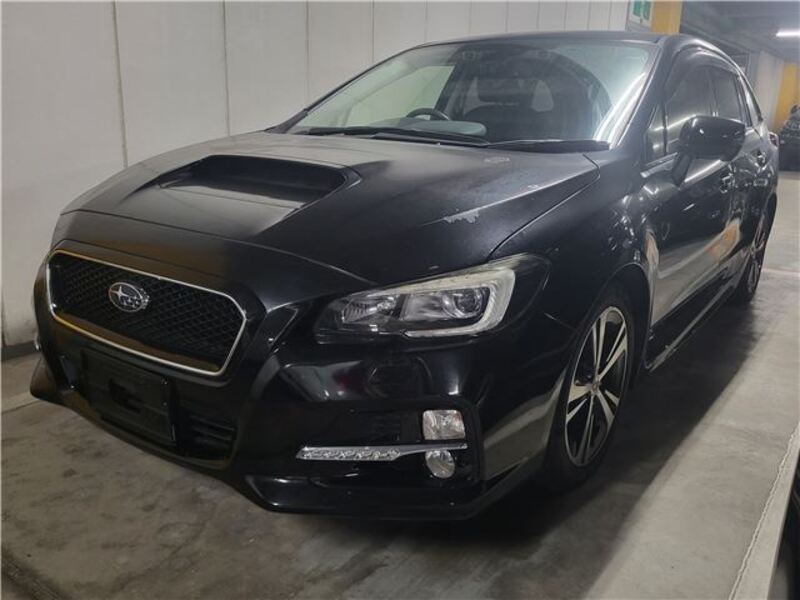 LEVORG-0