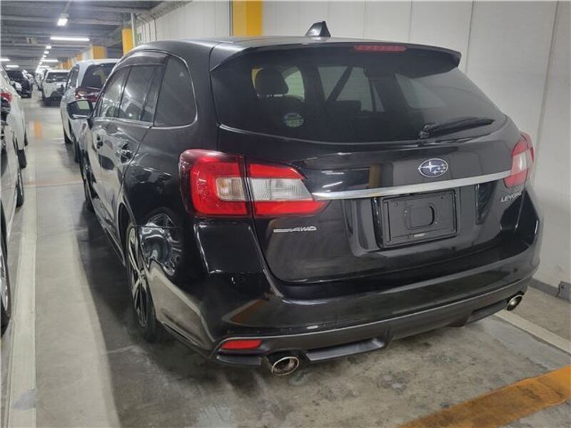 LEVORG