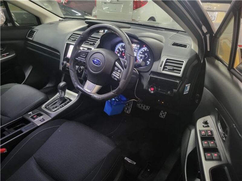 LEVORG